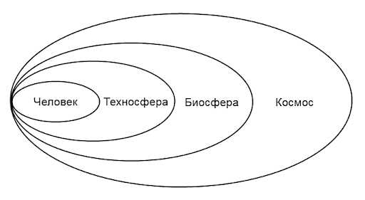 Земля: типичный житель нашей планеты