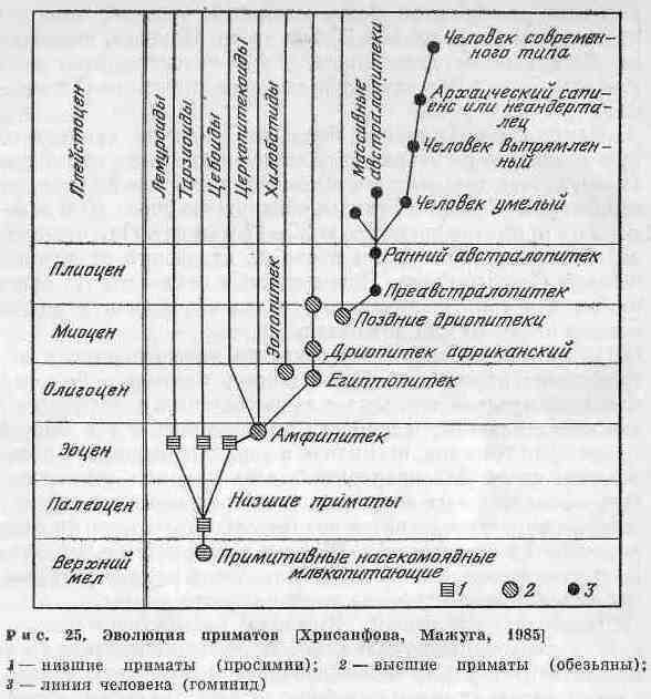 Возникновение современной жизни на Земле