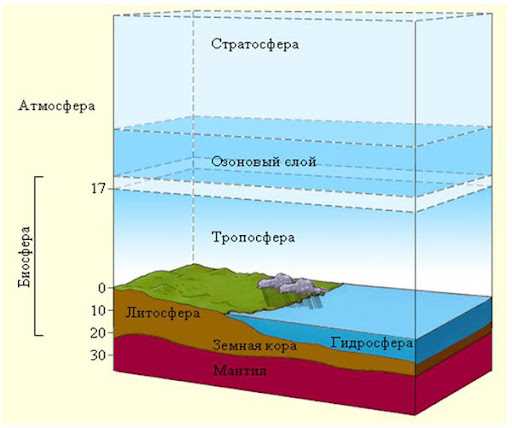 Морские экосистемы: океаны и моря