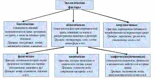 Влияние океанических течений на окружающую среду и ее биологическое разнообразие