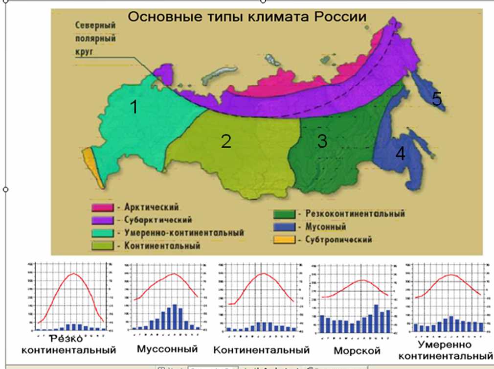 Влияние климата на животный мир и экологическую систему