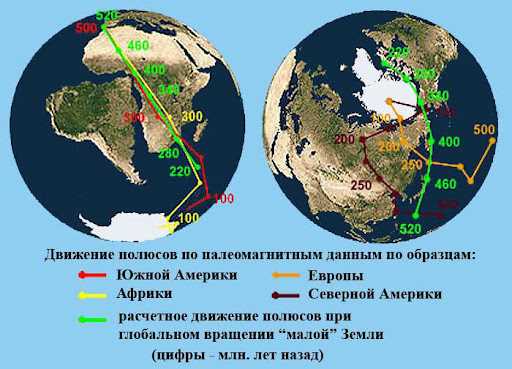 Удивительные организмы, населяющие Землю миллион лет назад