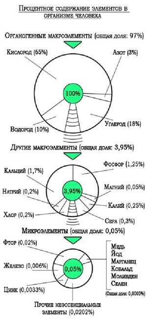 Толщина земной плиты и ее значение в составе Земли