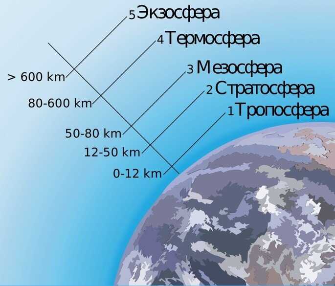 Особенности животного и растительного мира Земли